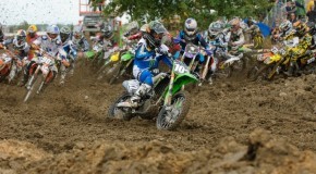 ON THE RISE: AUSTIN POLITELLI